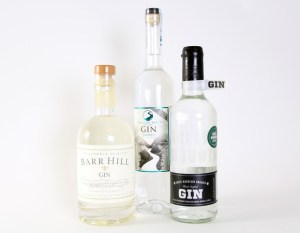 vermontgin-lead-thumb-620x481-85944-128918