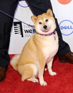 19th-webby-awards-132236