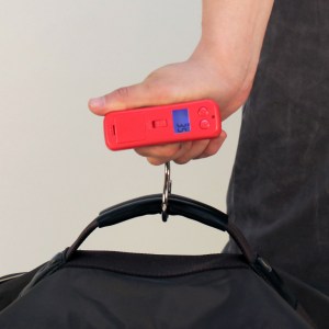flight-001-luggage-scale-133371