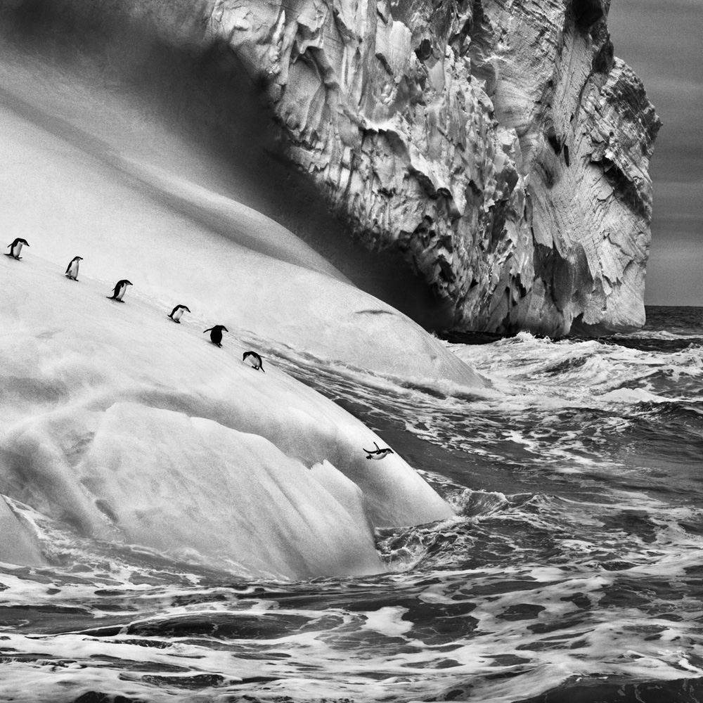 sebastiao-salgado-genesis-thumb-132749