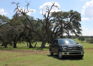 ford-f150-trees-thumb-620x443-91437-133402
