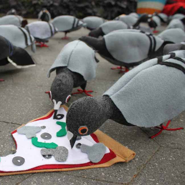 motherpigeon-thumb-133483