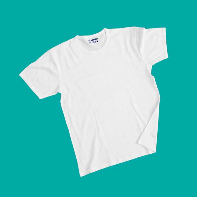 schooner-thumb-133697