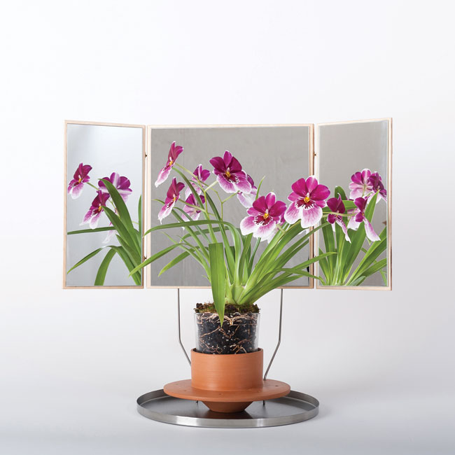 seven-designers-la-rinsascente-thumb-134541