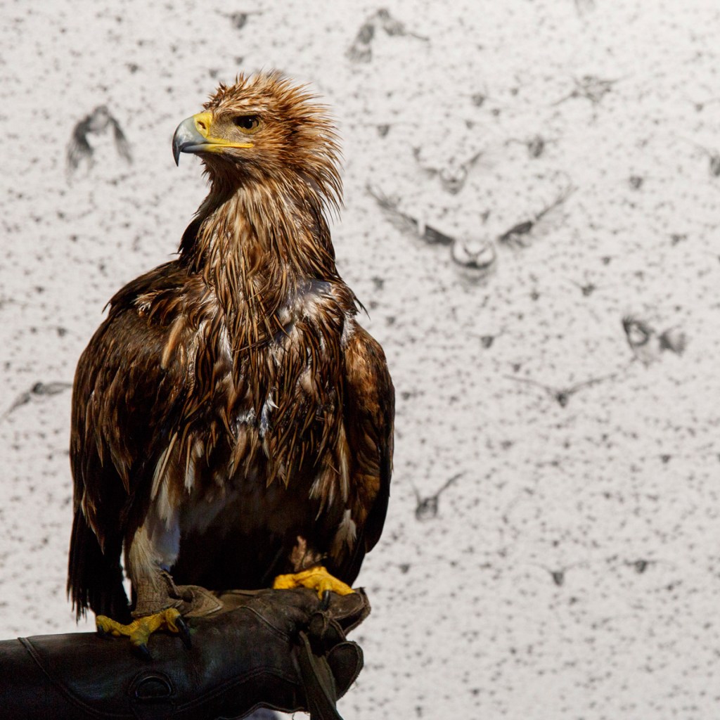 herenow-london-thumb-136466