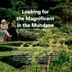 pineapple-mag-thumb-135897