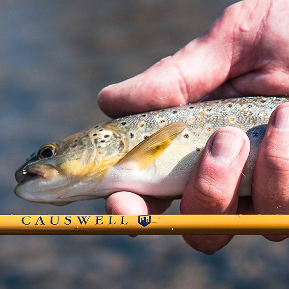 Causwell's Tenkara Fly Fishing Rod - COOL HUNTING®