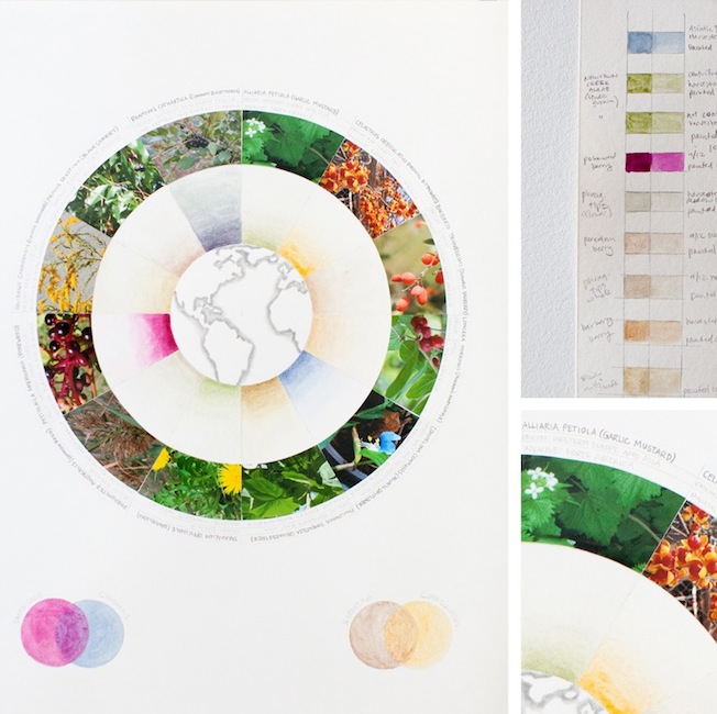 invasive-pigments-thumb-135252