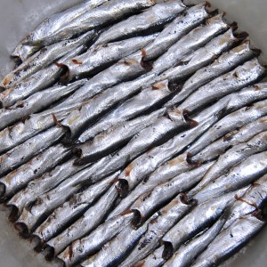 rare-alici-di-menaica-sardines-135613