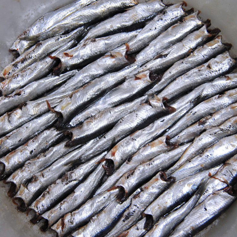 rare-alici-di-menaica-sardines-135613