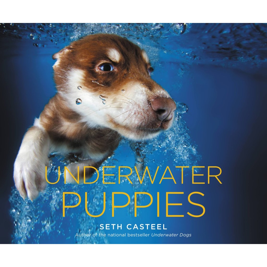 underwater-puppies-seth-casteel-99836