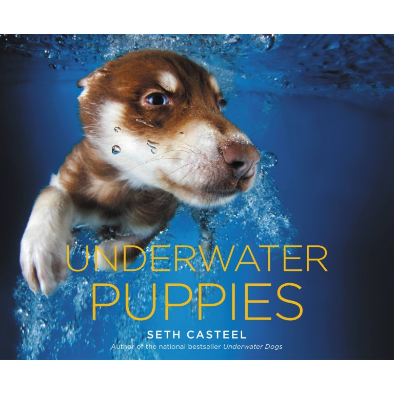 underwater-puppies-seth-casteel-99836