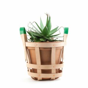 ch-edition-strap-planter-byamt-thumb-136680