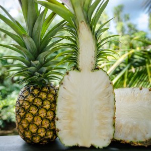 hawaiian-sugarloaf-white-pineapple-137142