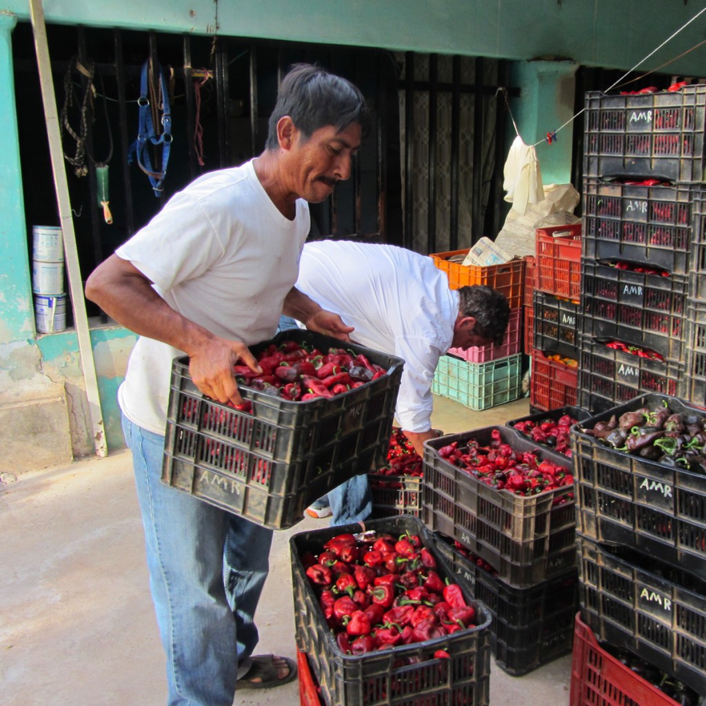 macallan-zocalito-thumb1-136987