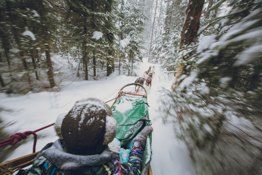 goh-iromoto-pull-hero-2-138756