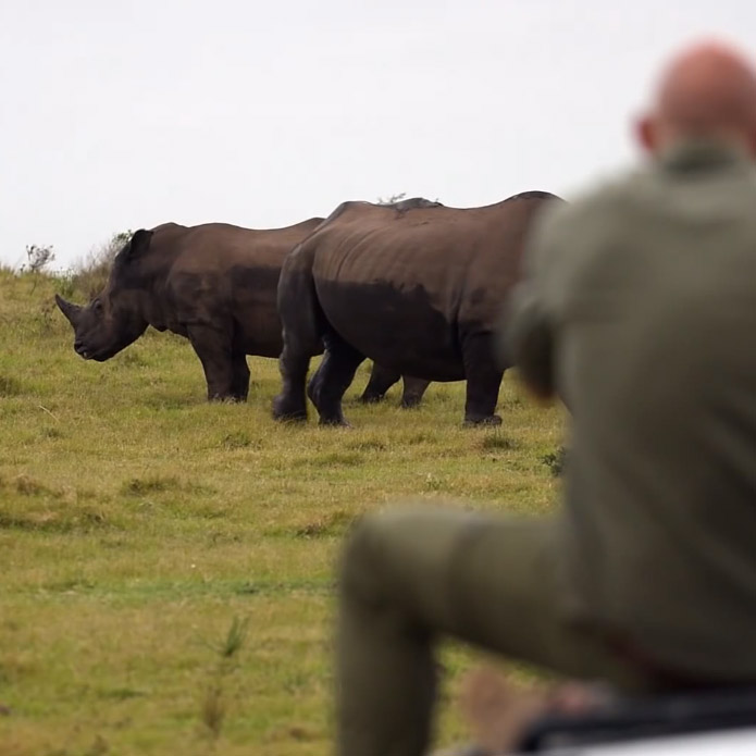 thandis-calf-rhino-that-should-have-never-been-born-adrian-steirn-138680
