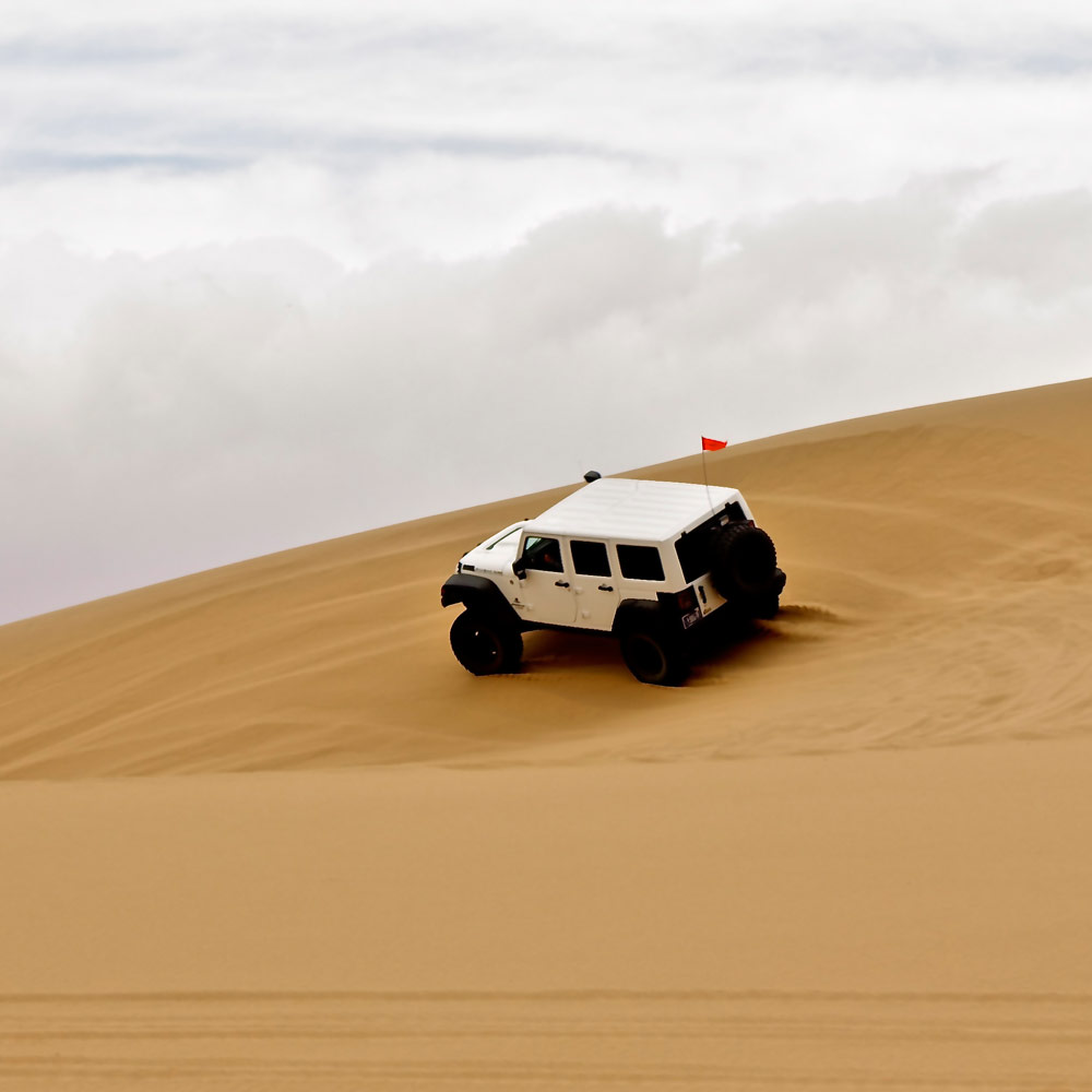 amy-lerner-gazelles-ralleye-thumb-139815