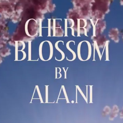 cherry-blossom-listen-139053