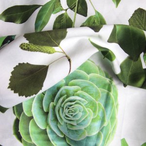 clubofoddvolumes_emerald-sheets-140143