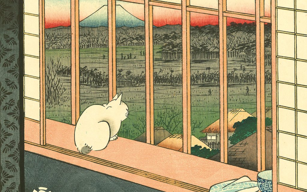 life-of-cats-hero-139975