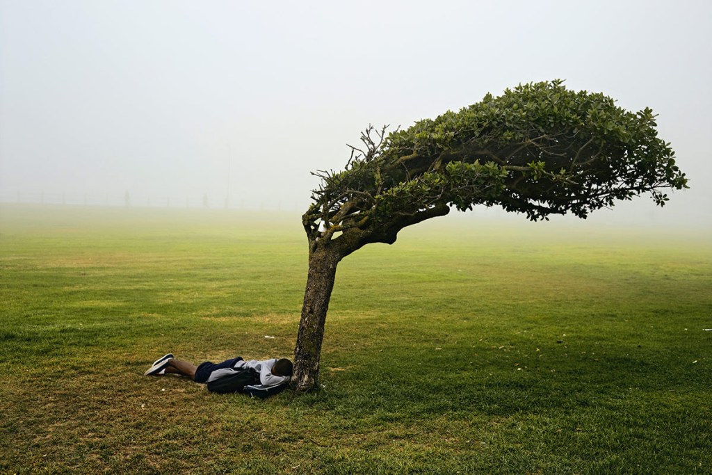 pieter-hugo-kin-hero-140315