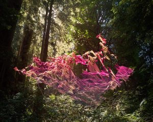 mark_dorf_path_untitled28_hero-139933