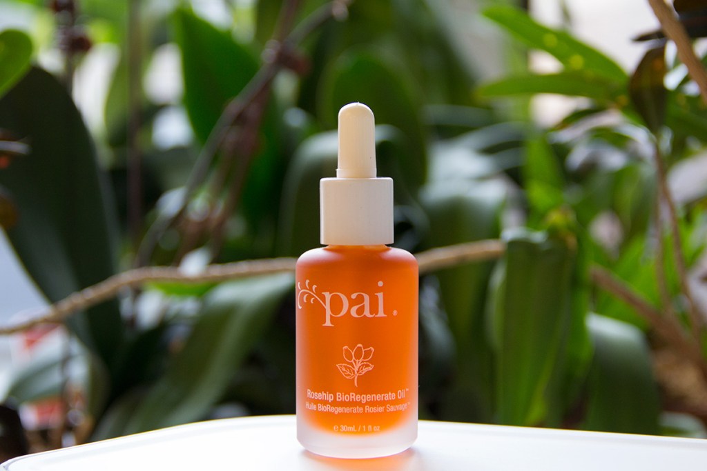 natural-green-beauty-earth-day-2015-hero-141791