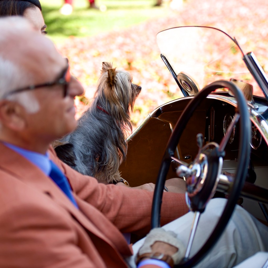 2014-villa-deste-thumb-126542