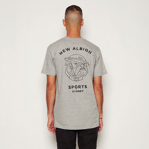 new_albion_thumb-142806