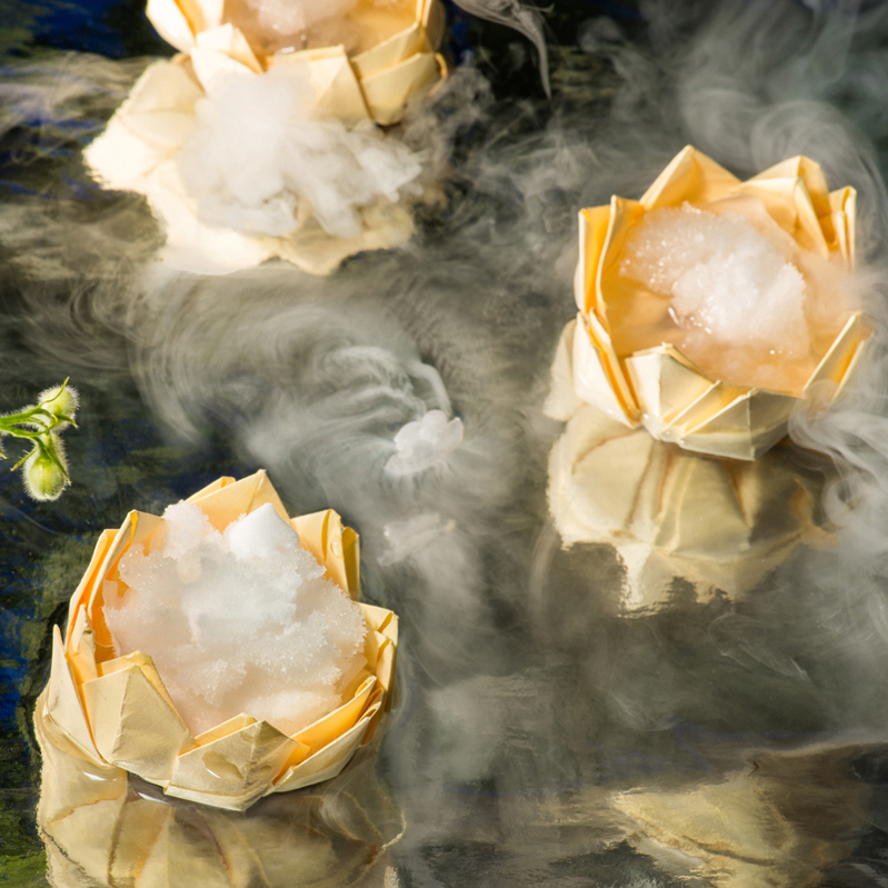 drinks_factory_silent_flowers_thumb-143055