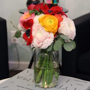 petal-by-pedal-thumb-122696