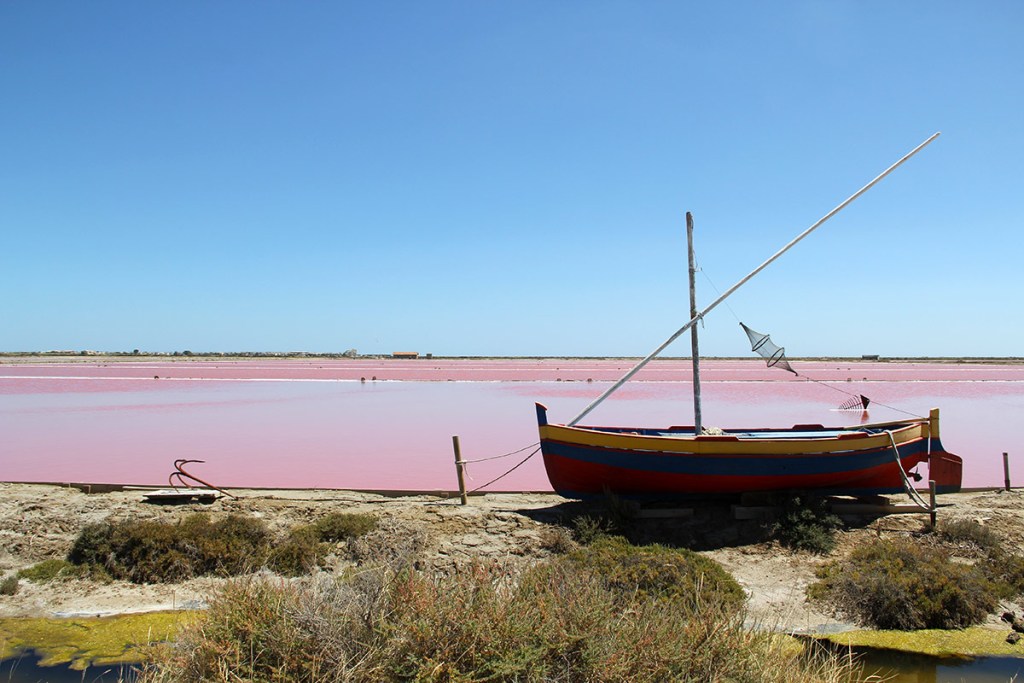 la-cambuse-du-saunier-salterns-144144