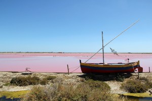 la-cambuse-du-saunier-salterns-144144