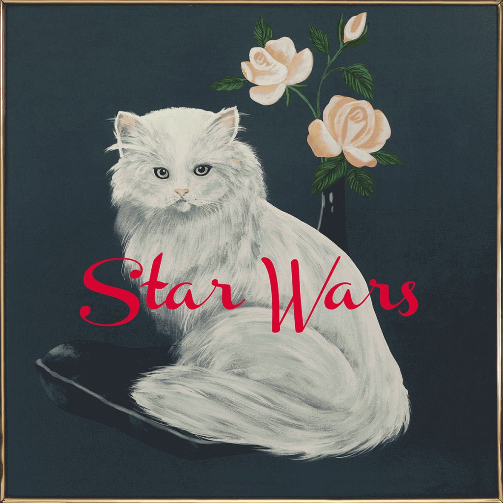 wilco-star-wars-143914