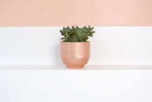 six-eye-catching-planters-143918