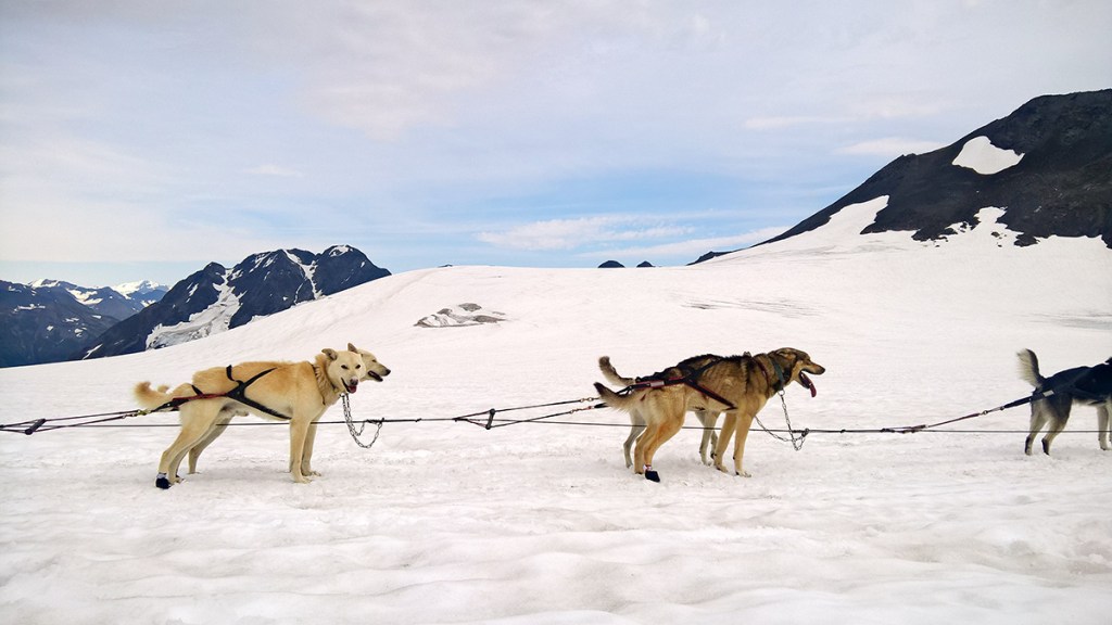 alaska-microsoft-lumia-640-xl-lte-11-144358