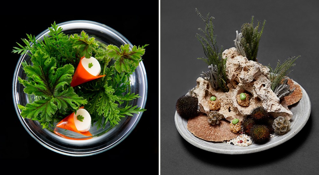 shaun-hergatt-canapes-juni-144190