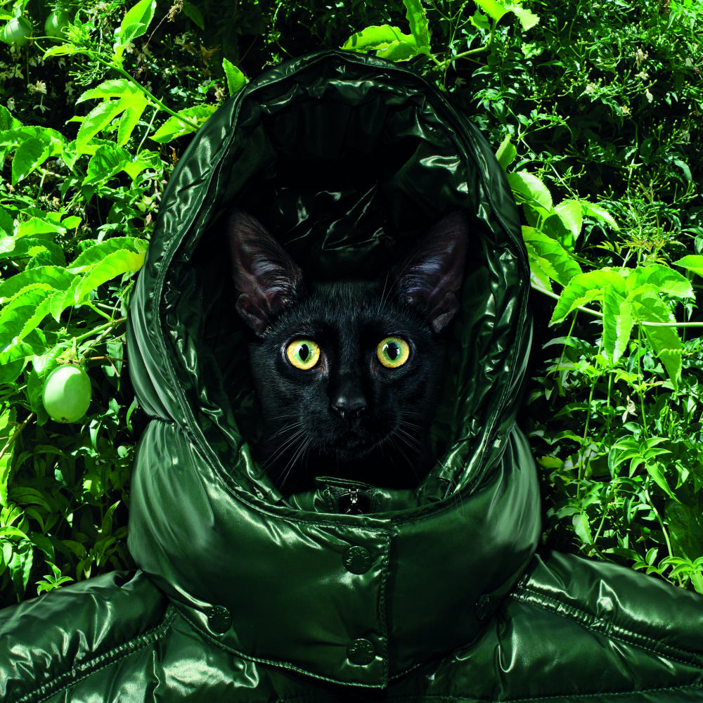 moncler-amfar-thumb-144915