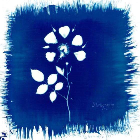 painted-zeros-call-back-145059