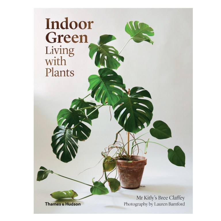 indoor_green_living_with_plants-145696