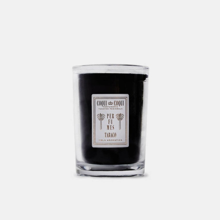 coqui_coqui_candle_new-145917