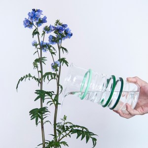 mold_pitcher_buy-145938