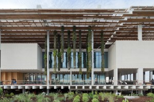 pamm_vertical_gardens_iwan_baan_2_0-146441