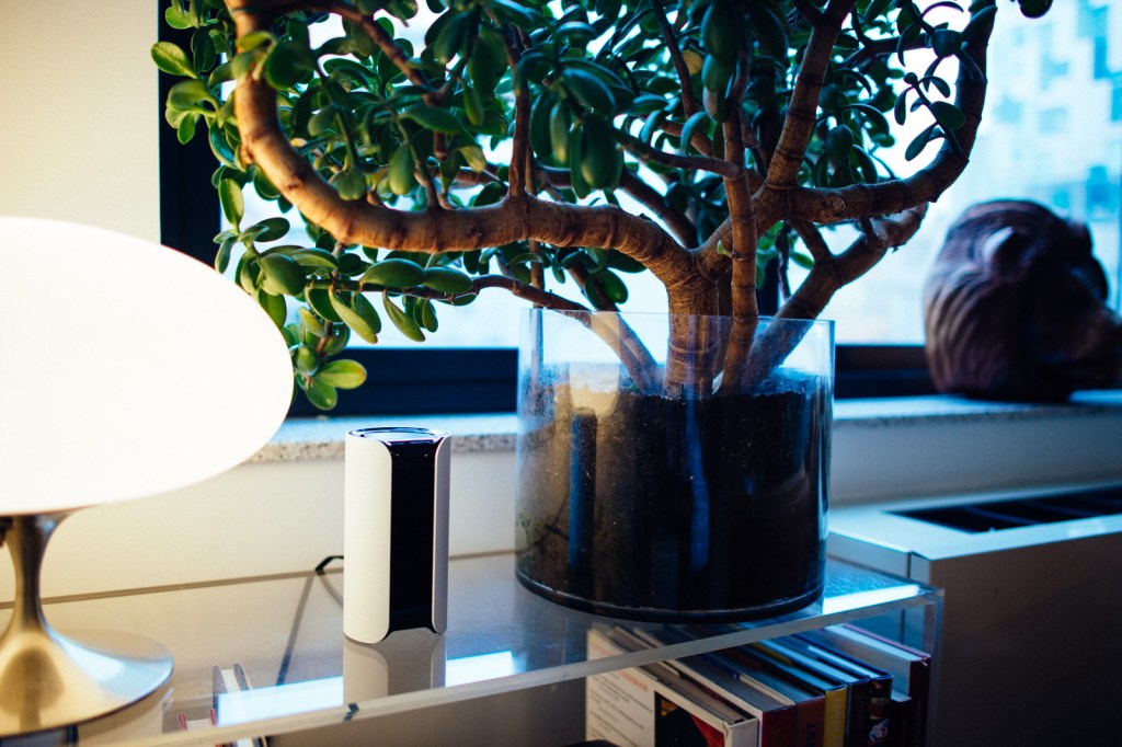 canary-home-monitoring-2-146585