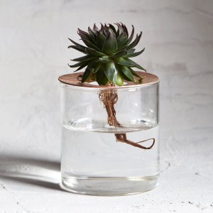 copper_terrarium_new