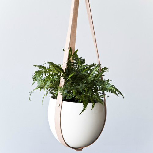 franzen-2014-ceiling-spora_2-146842