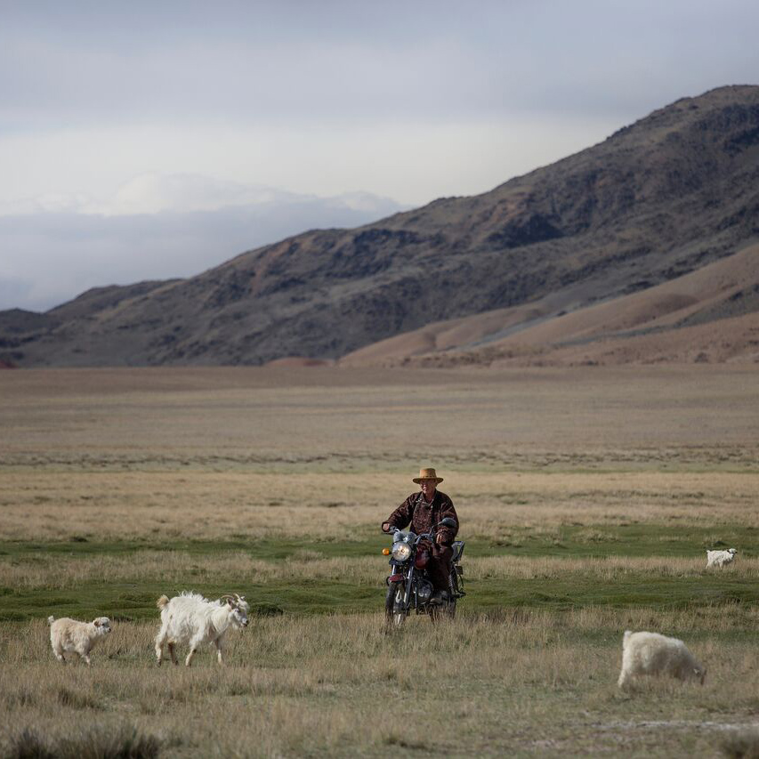 naadam-cashmere-thumb-146692