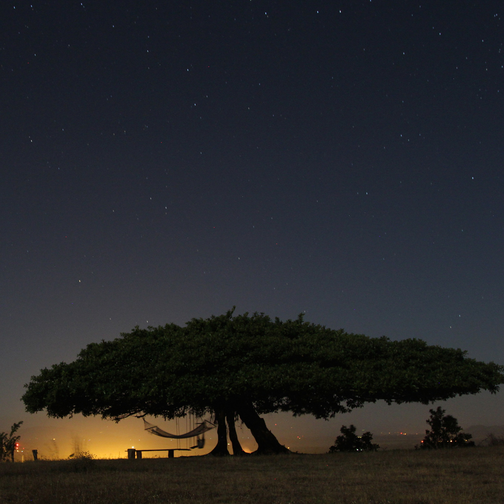passage-to-costa-rica-thumb-147231