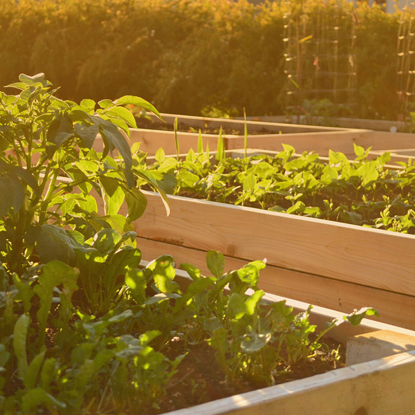 ecoscraps_thumb-147592